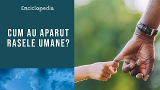 Cum au aparut rasele umane?