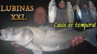 SURFCASTING FISHING XXL BASS IN THE STORM