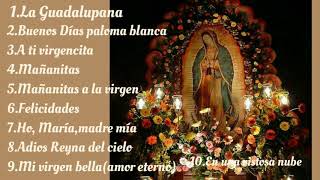 Cantos a la virgen de Guadalupe