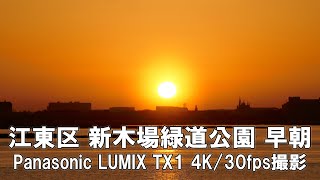 【4K】江東区 新木場緑道公園 早朝 Panasonic LUMIX DMC-TX1 4K/30fps動画【2023/03/11】