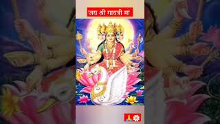 🌹#Gayatri Mata mantra status 💫🌼#whatsappstatus #bhaktisong #shortvideo 🌷🙏