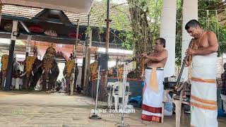 Bhavayami Raghuramam | Nagaswaram Vaikom Shaji \u0026 Party | Vaikathashtami 2024 #nadaswaram #bhavayami