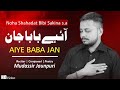 Nohay 2020 | AIYE BABA JAN | Mudassir jaunpuri | Noha Shahdat E Bibi Sakina S.A | New Noha 2020/1442