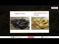 fact check viral image shows real golden snake that ll bring good luck on naga panchami