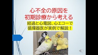 心不全の原因を初期診療から考える(例題を見ながら主病名を循環器医が基礎から解説します)