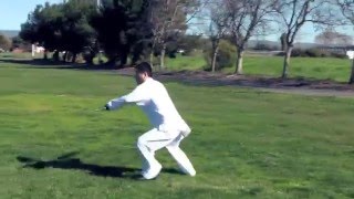 Master Xu Dezheng's  Shaolin Pudao (少林朴刀 )