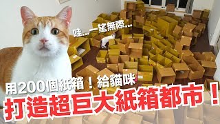 用200個紙箱！幫貓咪打造超巨大紙箱都市！【傻眼貓咪】EP2