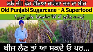 Old Punjabi Sugarcane - A Superfood। ਲਓ ਜੀ! ਫੇਰ ਵੰਡਿਆ ਜਾਵੇਗਾ ਚਣ ਦਾ ਬੀਜ। ਬੀਜ ਲੈਣ ਤਾਂ ਆ ਸਕਦੇ ਓ ਪਰ...