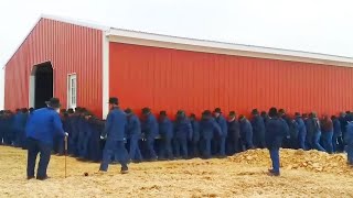 How To Move A Barn