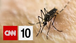 Why Mosquitoes Are Attracted to You | November 6, 2019