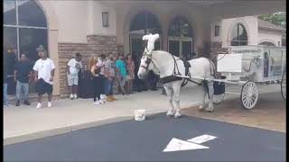 Horse Drawn Hearse at Del Marco Luisi Funeral Home in Vineland NJ July 11 2020