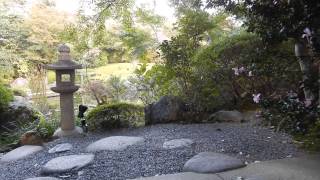 余香苑(The Yoko-en of Taizo-in temple, Myoshin-ji)