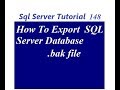 How to export  SQL Server Database
