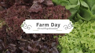 เพื่อนคู่คิด | บริการเช่าที่ปลูกผักออนไลน์ (Farm Day)