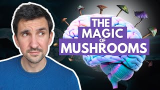 How Psychedelic Mushrooms Treat Depression