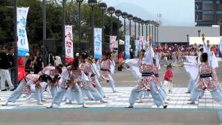 鳴子座（ゑぇじゃないか祭り2010・海への道会場）