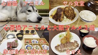 【大阪グルメ】3選と動物カフェ心斎橋アニミルの動画となります