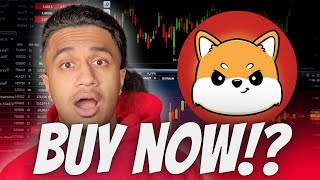 KOMA INU IS A 100X GEM!! BUY $KOMA NOW?! KOMA INU PRICE PREDICTION