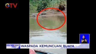 Kemunculan Buaya Teror Petani Kelapa Sawit di Mandailing Natal #BuletiniNewsSiang 07/02