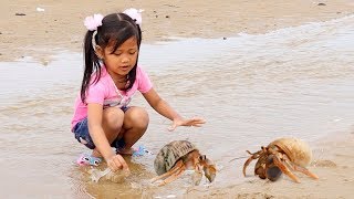 Yesss Dapat!! Berburu Kelomang Umang Umang - Liburan Seru Main di Pantai Bermain Air \u0026 Naik Perahu