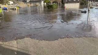 Flooding in Santa Cruz, California as a result of Tsunami caused by Tonga volcano eruption