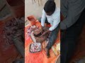 raju allagadda village raja vlogs