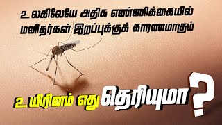 உலகிலேயே அதிக எண்ணிக்கையில் மனிதர்கள் இறப்புக்குக் காரணமாகும் உயிரினம் எது தெரியுமா