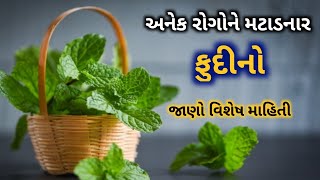 ફુદીના ના અદભુત ઉપયોગો || અનેક રોગો મટાડે છે ફુદીના ના પાન