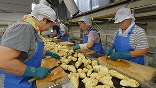 芋焼酎の仕込み始まる＝宮崎県綾町＝