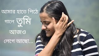 আমার হাতে পিঠে গালে তুমি আজও লেগে আছো | Nupur Chakraborty | Nandini