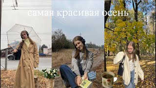 Дневник октября, подготовка к ЕГЭ и как найти время на отдых