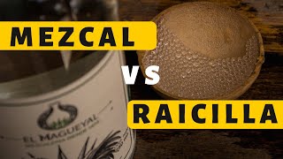 Mezcal vs Raicilla, Principales diferencias y similitudes, ¡Conócelas!