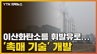 [자막뉴스] 이산화탄소를 휘발유로 만드는 '촉매 기술' 개발 / YTN