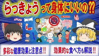 らっきょうは、多彩な栄養素を含んでおり、多くの健康効果が期待できる食材‼健康効果と注意点およびその効果を高めるための効果的な食べ方などを解説【ゆっくり解説】