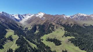 Nalati Grassland: Experience the Vast Beauty of Xinjiang's Tianshan Prairie 那拉提草原：感受新疆天山下的辽阔草原美景