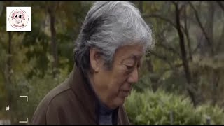 2022年の日本映画ベスト10にランクインしたこの作品は、時代の新風を吹き込む作品です。すべてのフレームが一種の楽しみです。舌先に禅の光と影