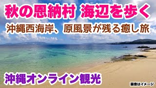 【沖縄オンライン観光】 秋の恩納村 海辺を歩く旅「沖縄旅行情報」