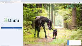 Keystone ezyVet Integration Training | Veterinary Image Management Software
