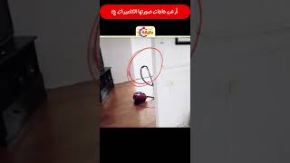 أرعب حاجات صورتها الكاميرات ج4