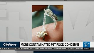 Pet owner finds larvae, cobwebs in cat food