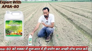 मक्का में शुरूआत से ही Apsa-80 को प्रयोग कर अच्छी ग्रोथ प्राप्त करें। #farming #agriculture #natural