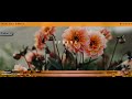 Parallax Scrolling Effect using HTML and CSS