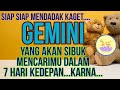 ZODIAK GEMINI - TIDAK SANGKA..SOSOK INI MUNCUL MENCARIMU DI 7 HARI KEDEPAN#tarot#zodiak#gemini