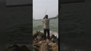 😱🎣 ചൂണ്ടയിൽ മീൻ അടിച്ചു ഹെവി ഫൈറ്റിങ്  വറ്റയെ പിടിച്ചു🎣😱