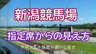 【新潟競馬場】指定席から馬場の見え方