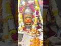 mahadev pandharpur nandi shankara shivaparvati shivashiva bhajans devotionalsongs linga aarti