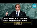 'India's ruthless...': Pak PM rakes up Kashmir at UN; Makes conditional peace offer to Delhi