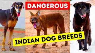 9 Dangerous Dog Breeds That People Still Keep as Pets