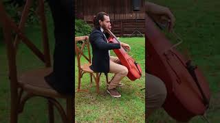 Dos Oruguitas en violonchelo - Encanto/Disney/Sebastián Yatra