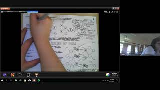 DNA Structure Doodle Notes